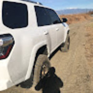 Meet your Posher, Alex